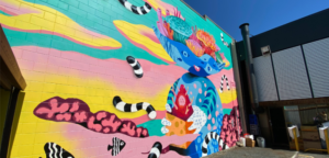 AMP! Grants Bring Vibrancy to Mackay: Transforming Public Spaces