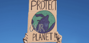 Queensland's Clean Economy Vision Shines a Light on a Greener Tomorrow