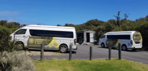 No Uber, No Problem! A Glimpse into Australia's Transport Revolution